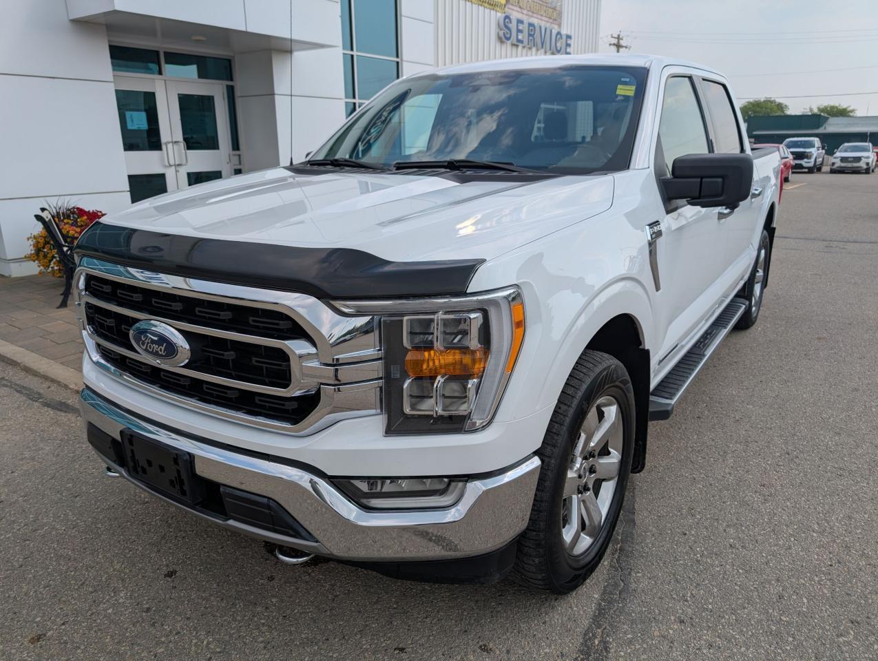 2021 Ford F-150 XLT Photo
