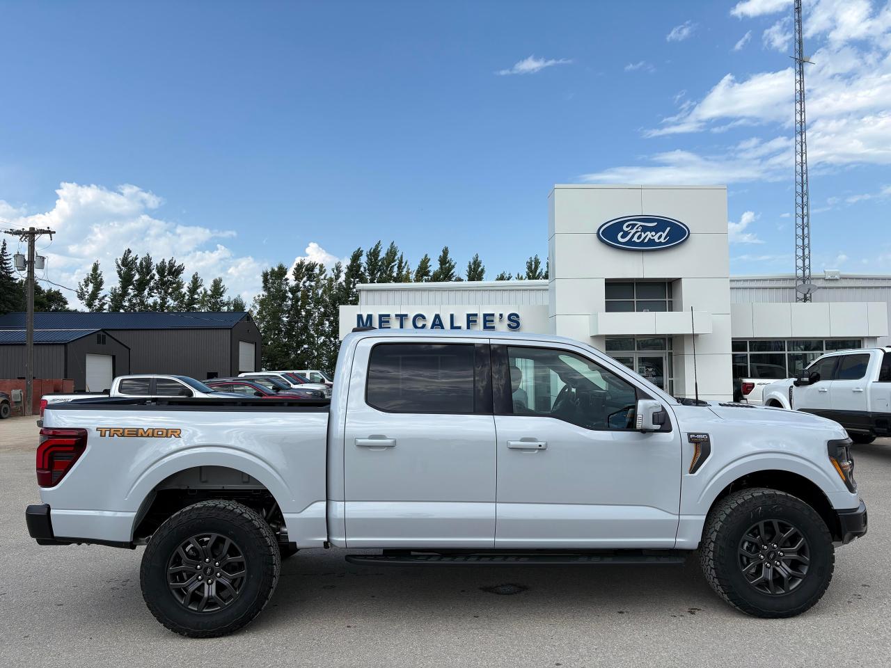 2025 Ford F-150 Tremor 4WD SuperCrew 5.5' Box Photo0