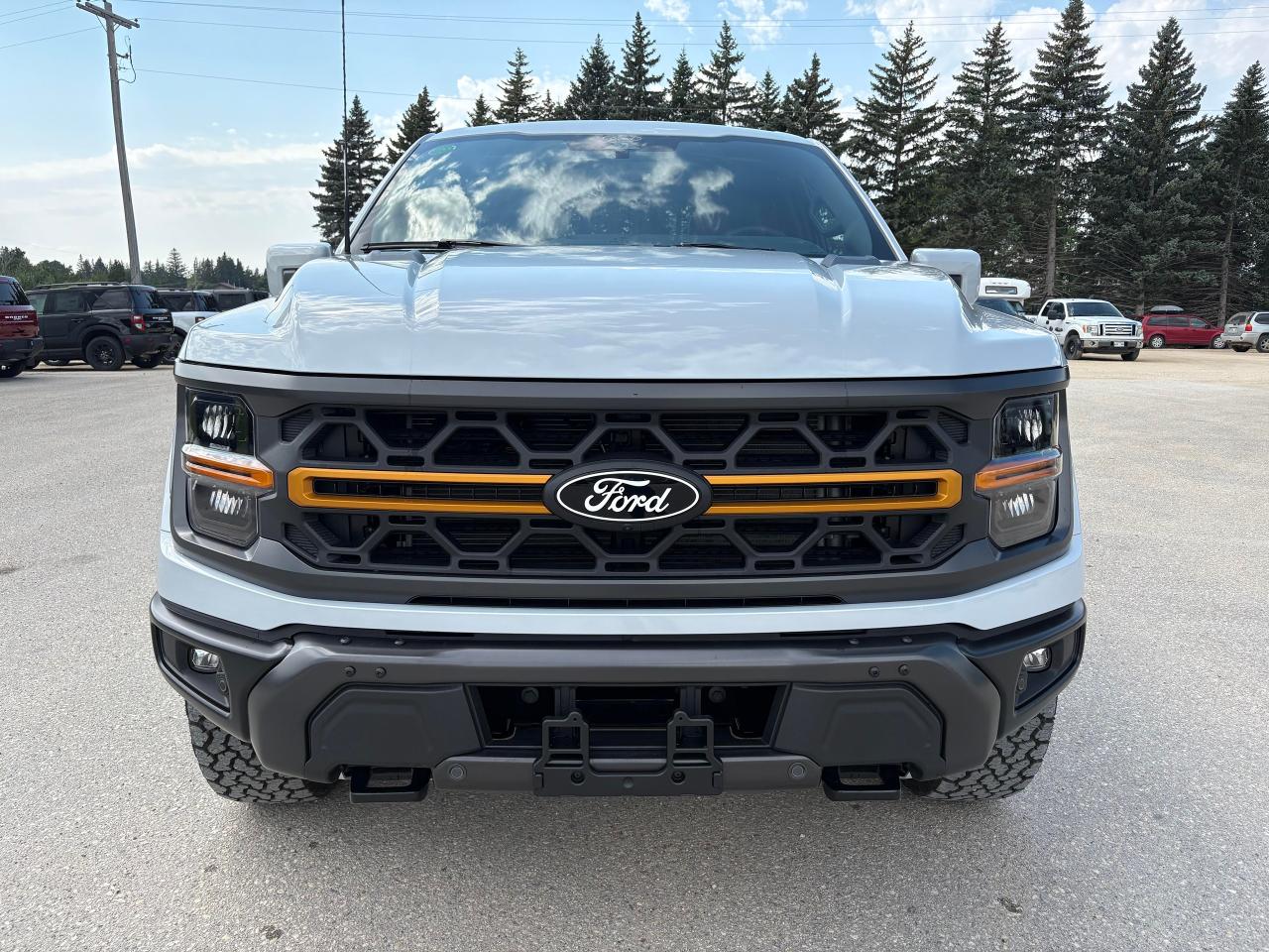2025 Ford F-150 Tremor 4WD SuperCrew 5.5' Box Photo