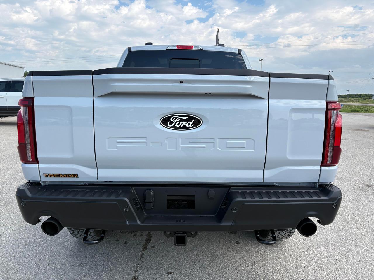 2025 Ford F-150 Tremor 4WD SuperCrew 5.5' Box Photo5