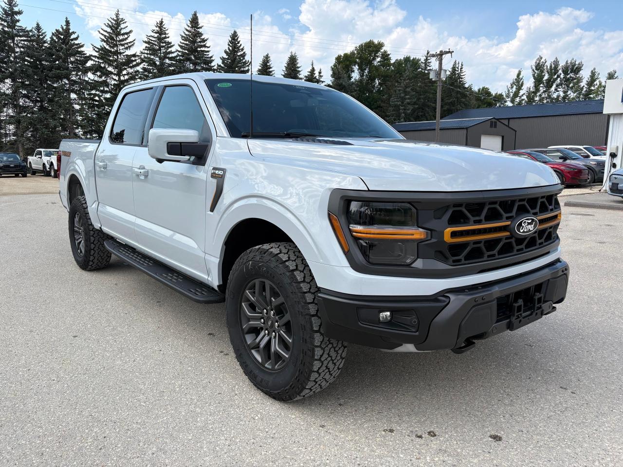 2025 Ford F-150 Tremor 4WD SuperCrew 5.5' Box Photo3