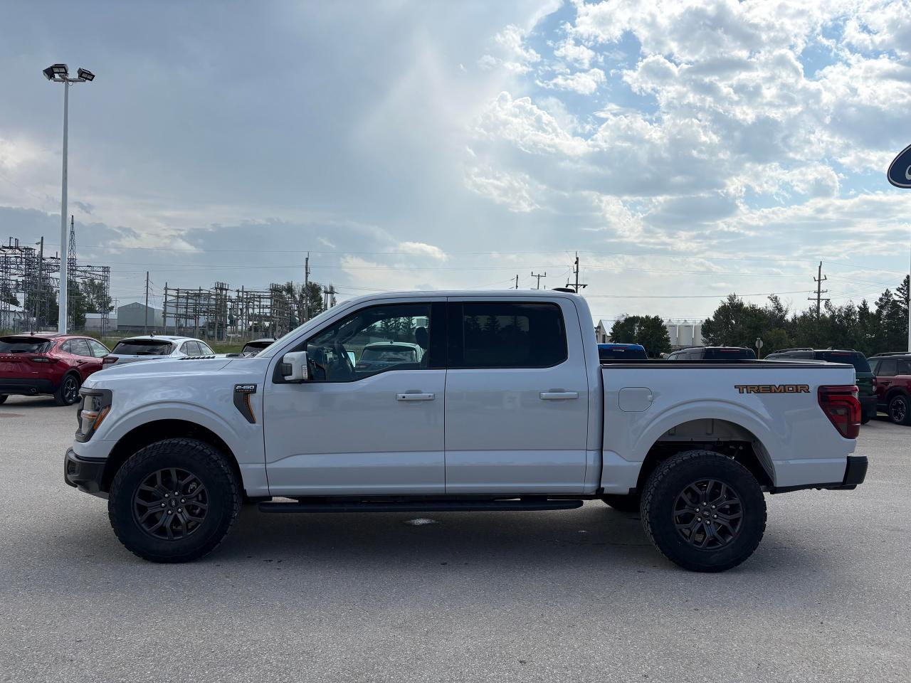 2025 Ford F-150 Tremor 4WD SuperCrew 5.5' Box Photo5