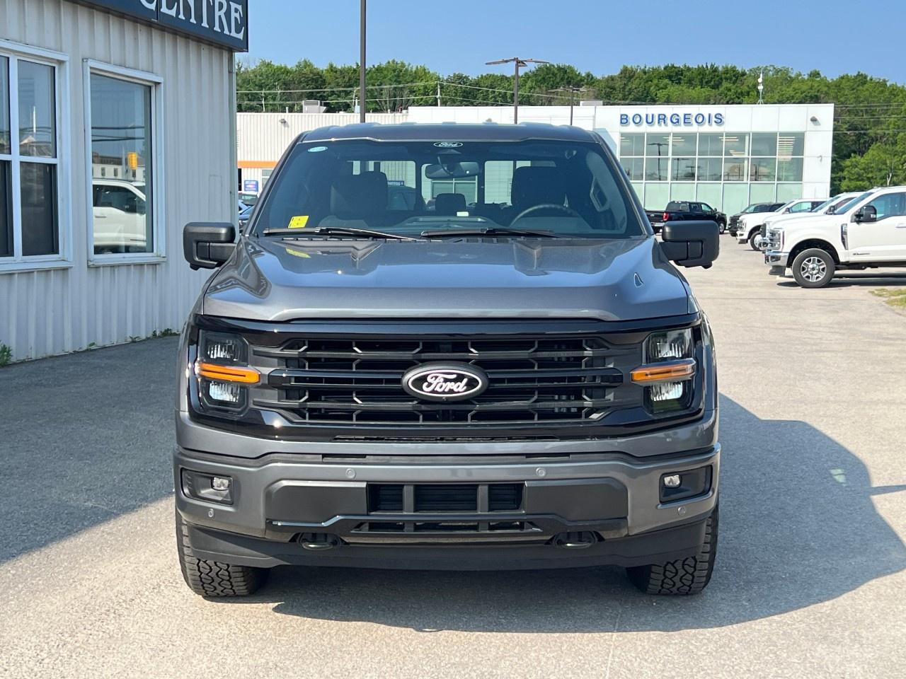 2025 Ford F-150 XLT 4WD SuperCrew 5.5' Box Photo2