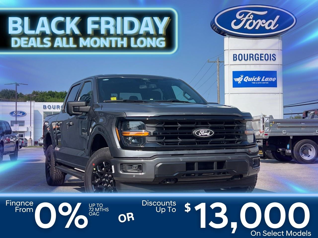 2025 Ford F-150 XLT 4WD SuperCrew 5.5' Box Photo0