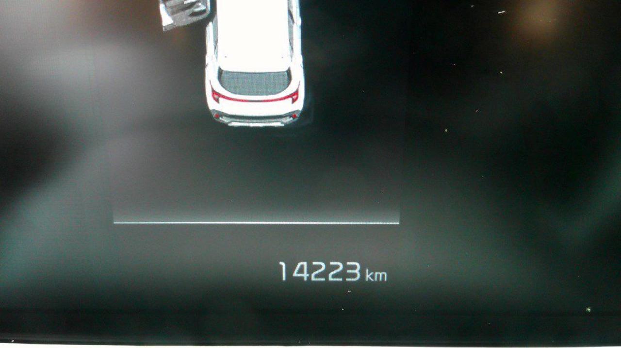 12619332