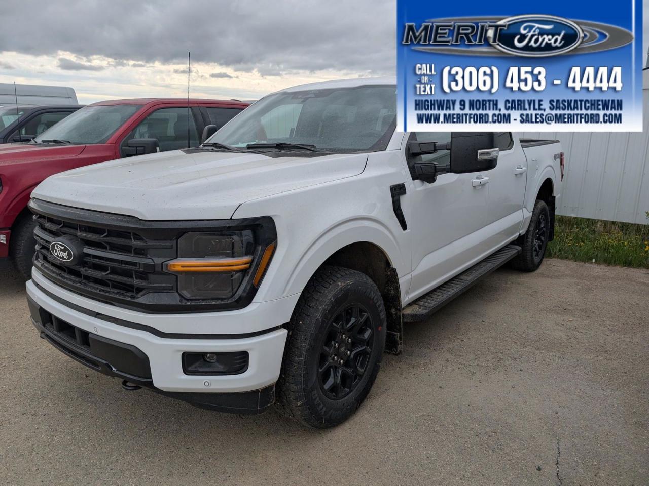 New 2025 Ford F-150 XLT - Black Sport Package, V6 + for sale in Carlyle, SK