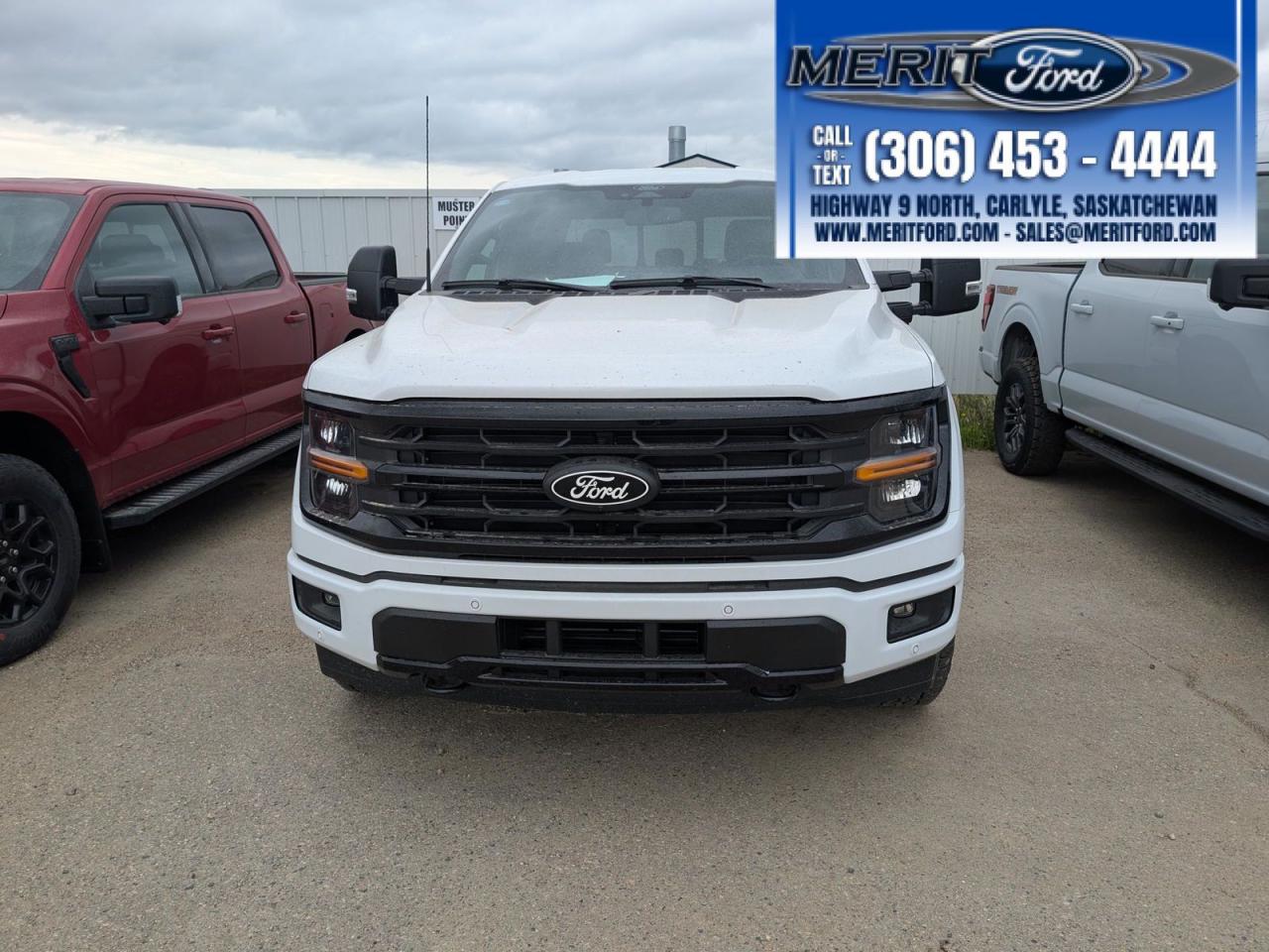 2025 Ford F-150 XLT - Black Sport Package, V6 + Photo1