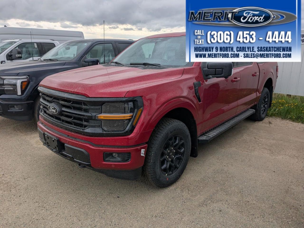 New 2025 Ford F-150 XLT for sale in Carlyle, SK