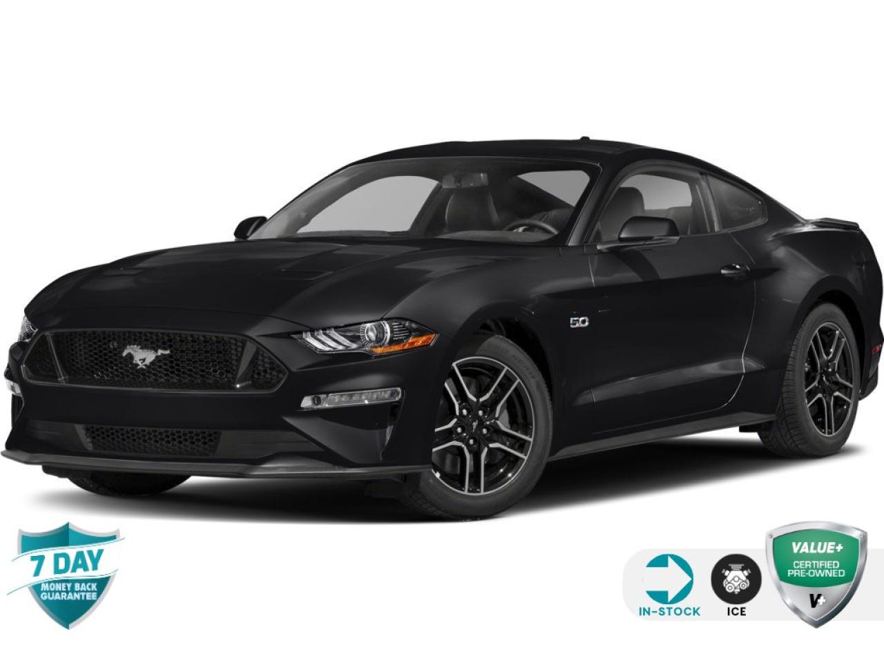 Used 2021 Ford Mustang GT Premium 6-SPEED MANUAL | GT PERFORMANCE PKG for sale in Grimsby, ON
