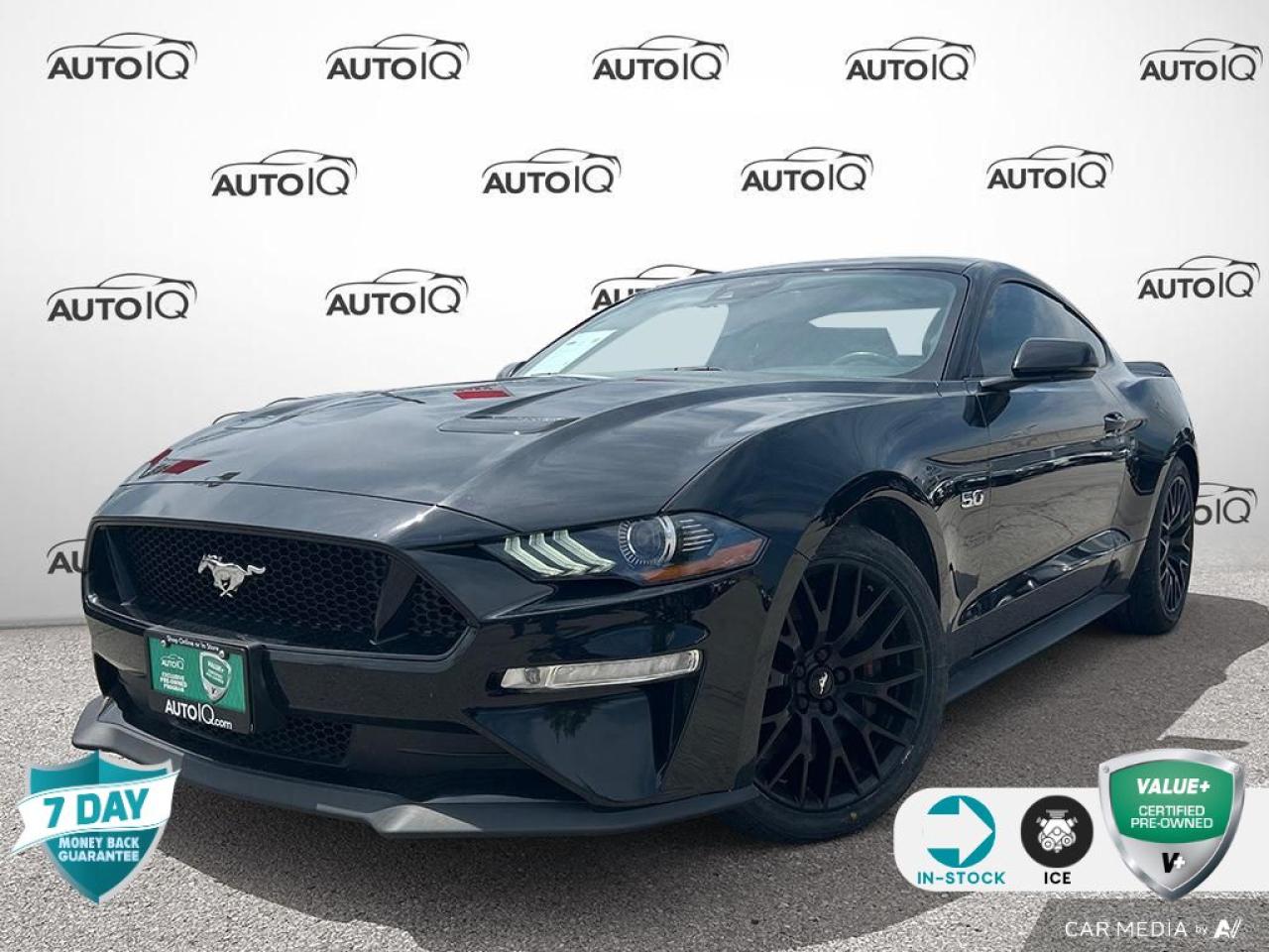 Used 2021 Ford Mustang GT Premium 6-SPEED MANUAL | GT PERFORMANCE PKG for sale in Grimsby, ON
