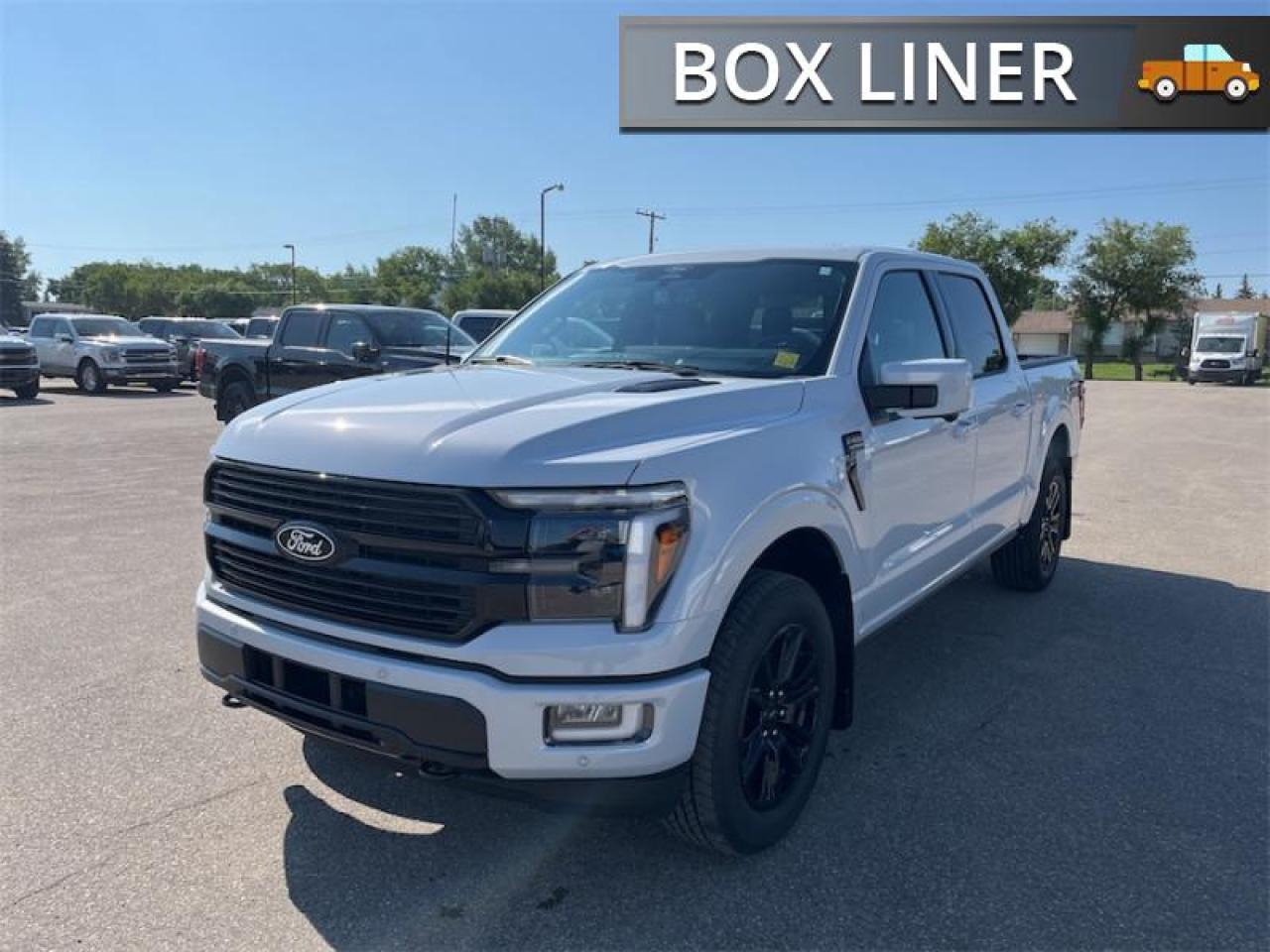 2025 Ford F-150 PLATINUM Photo5