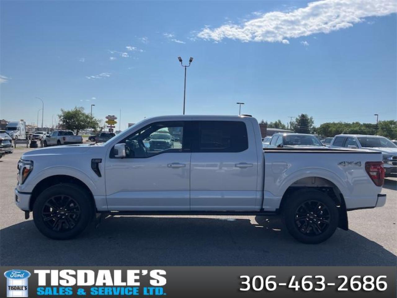 New 2025 Ford F-150 PLATINUM for sale in Kindersley, SK