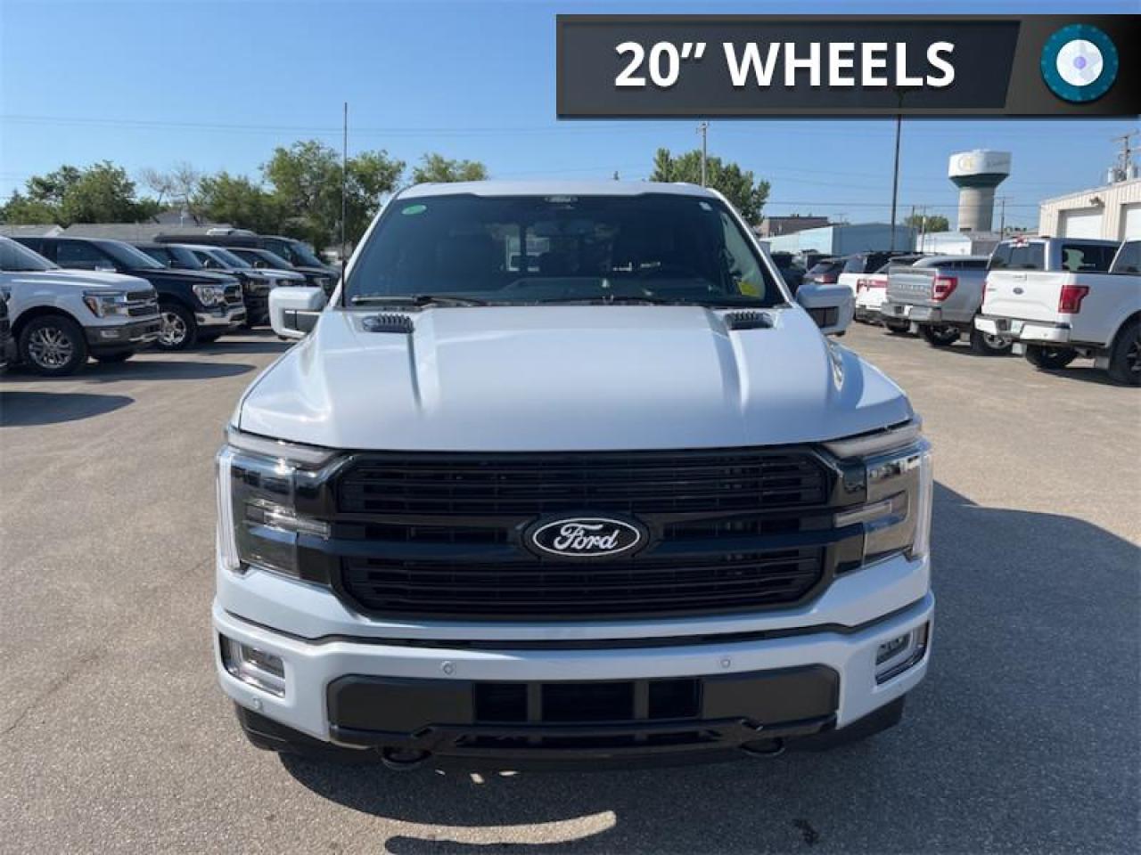 2025 Ford F-150 PLATINUM Photo3