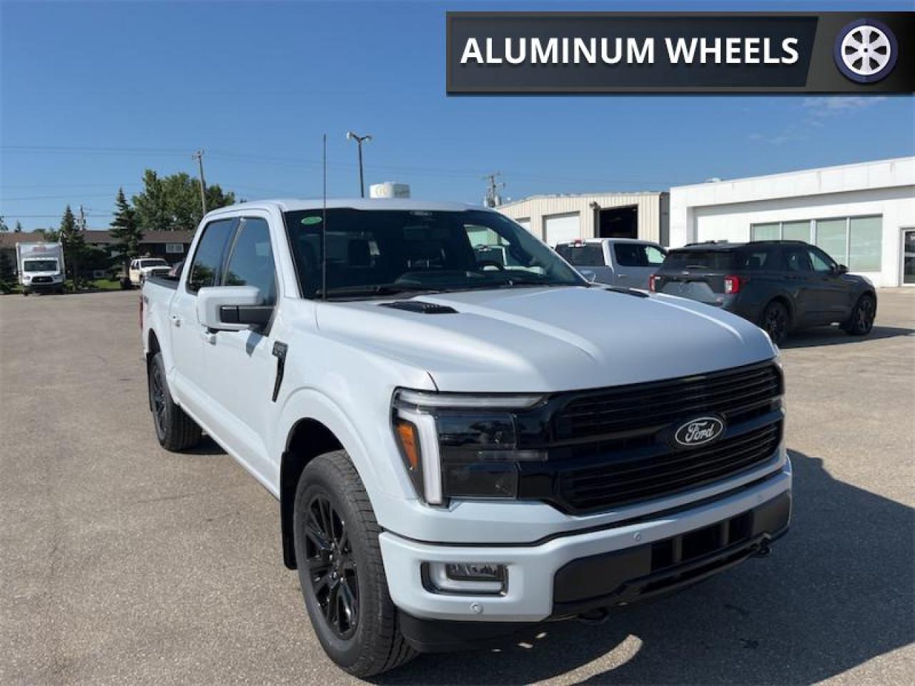 2025 Ford F-150 PLATINUM Photo2