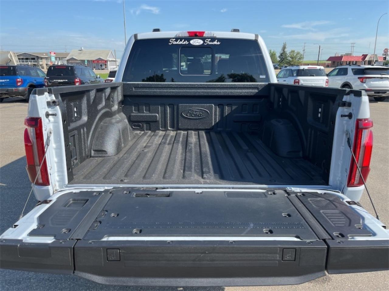2025 Ford F-150 PLATINUM Photo5