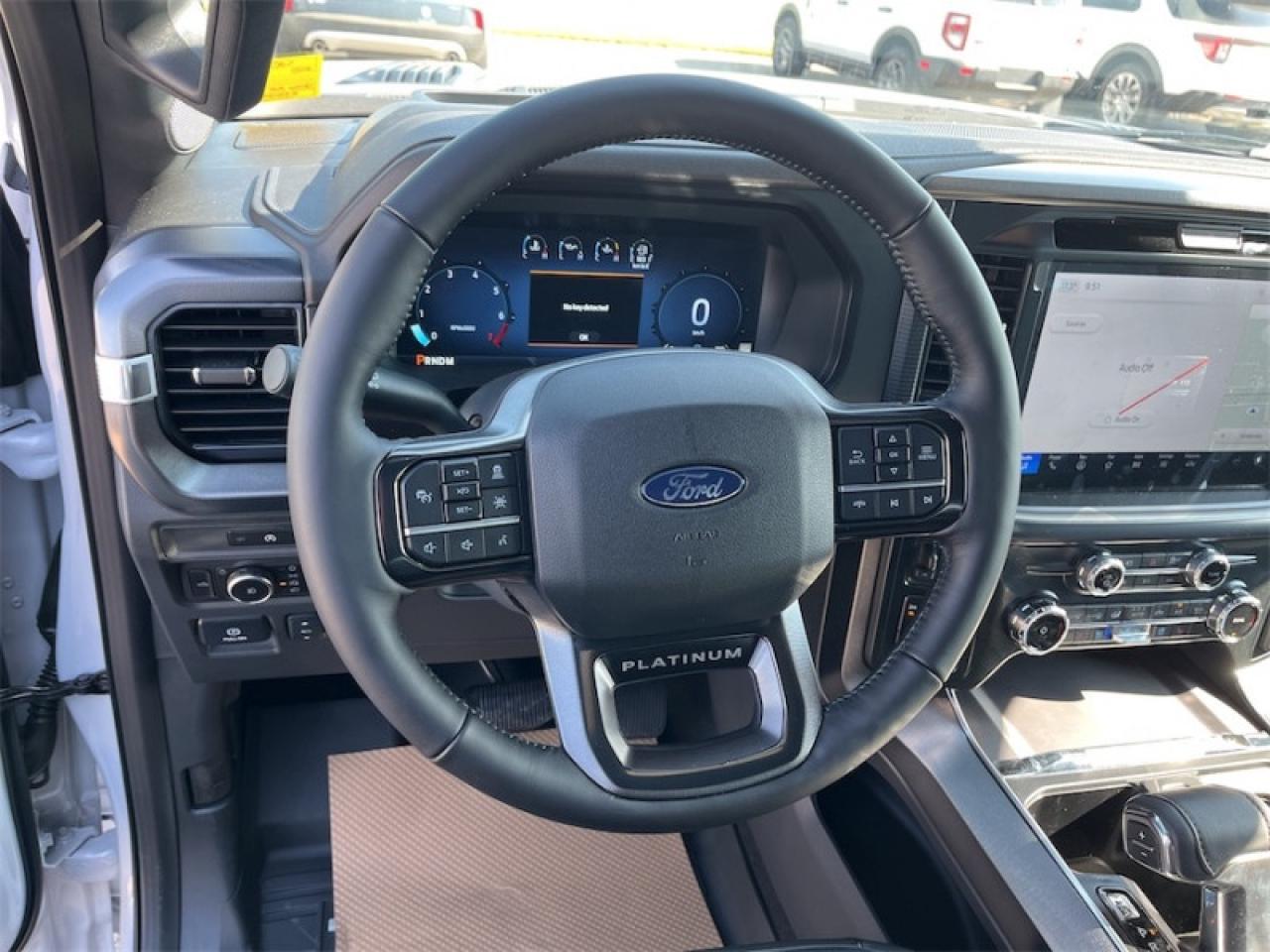 2025 Ford F-150 PLATINUM Photo5