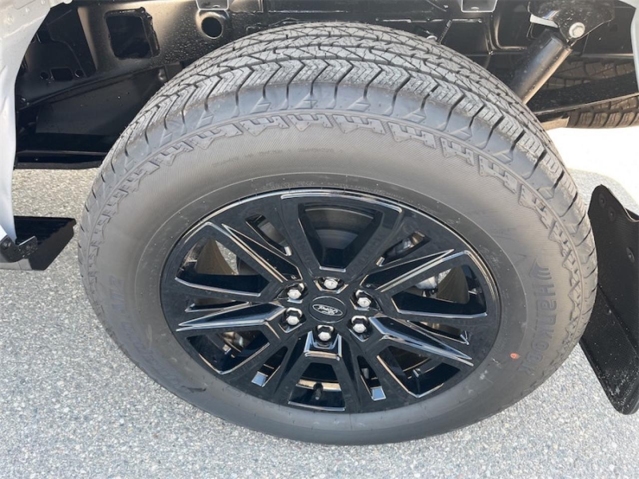 2025 Ford F-150 PLATINUM Photo5
