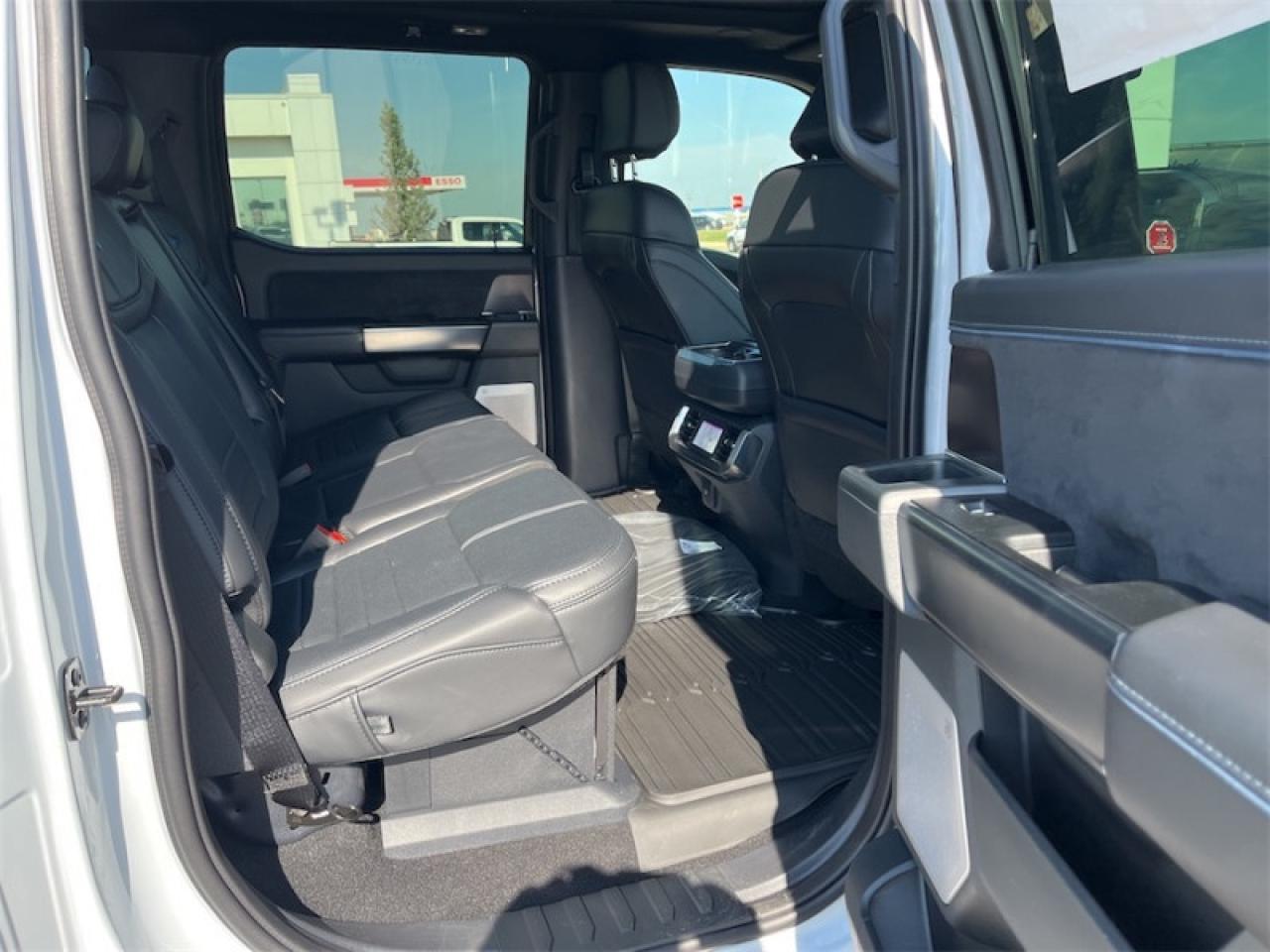 2025 Ford F-150 PLATINUM Photo5