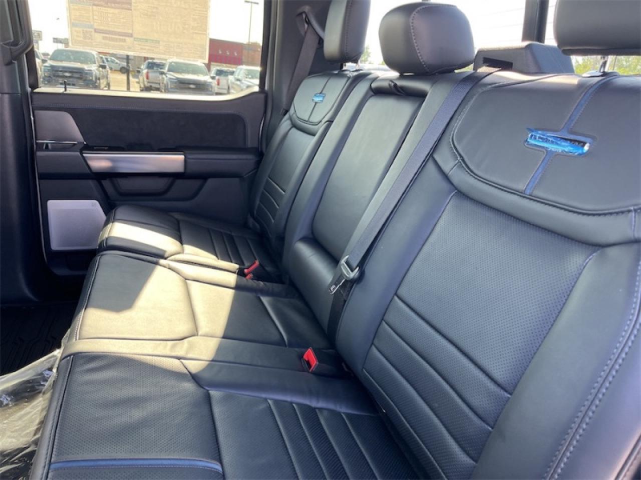 2025 Ford F-150 PLATINUM Photo5