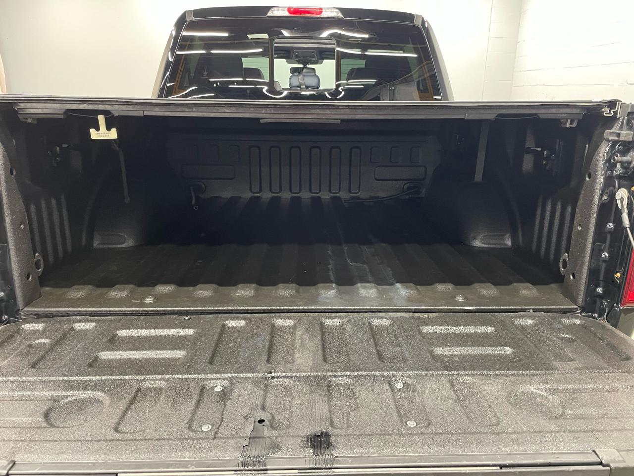 2018 Ford F-150 Limited 4WD SuperCrew 5.5' Box Photo6