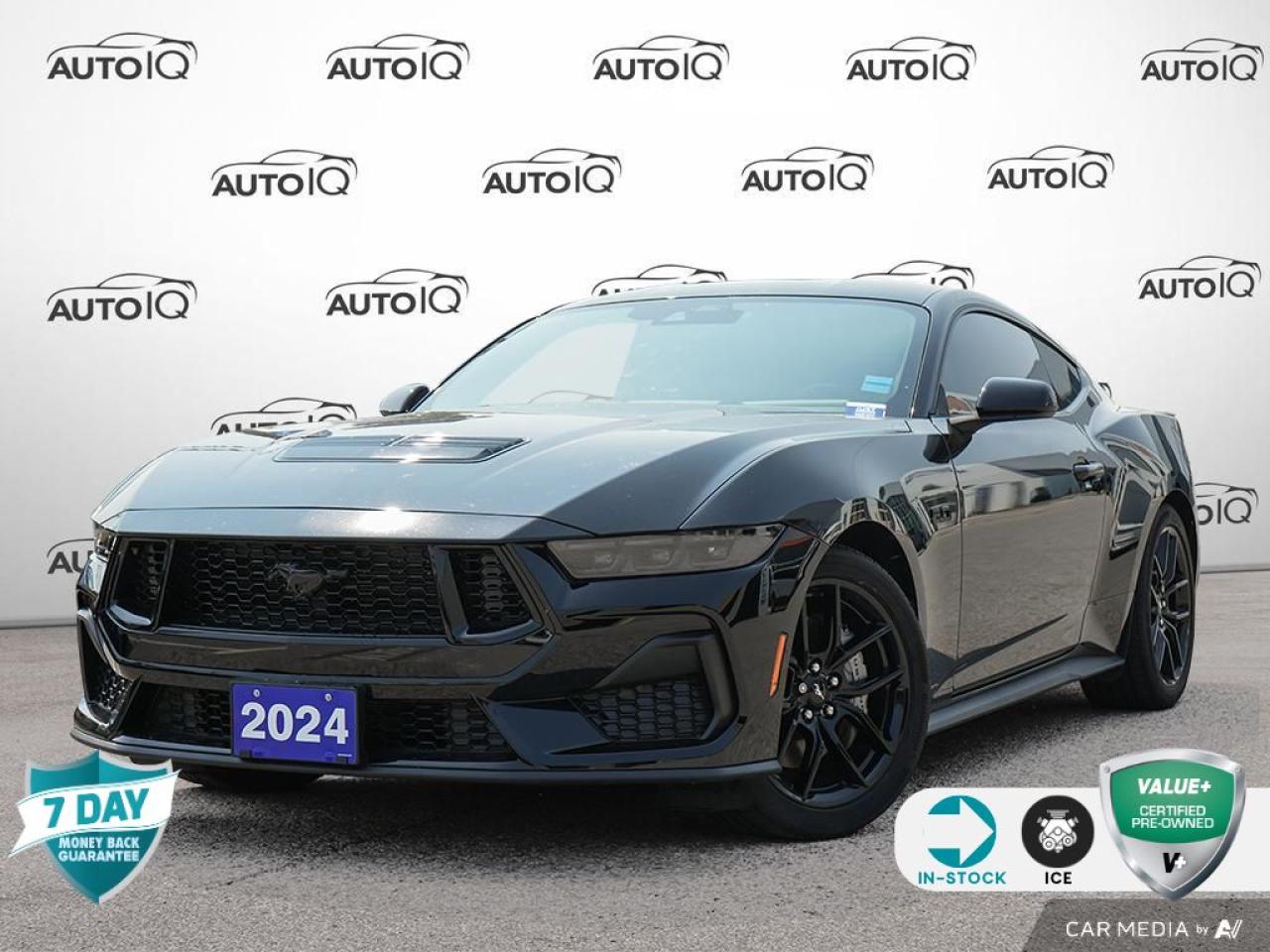 Used 2024 Ford Mustang GT NITE PONY PKG | KEYLESS ENTRY for sale in St Catharines, ON