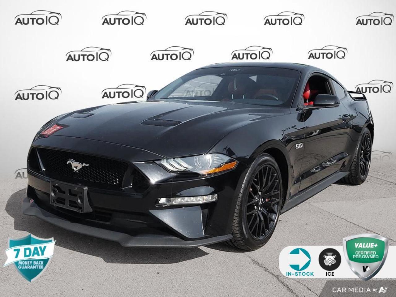 Used 2022 Ford Mustang GT - RED LEATHER - 6 SPD MANUAL for sale in Hamilton, ON