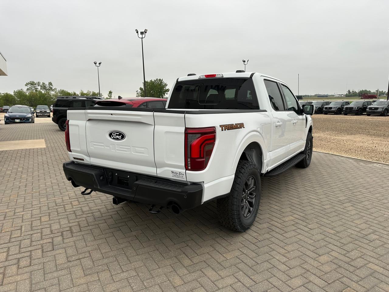 2025 Ford F-150 TREMOR 4WD SuperCrew 5.5' Box 402A Photo
