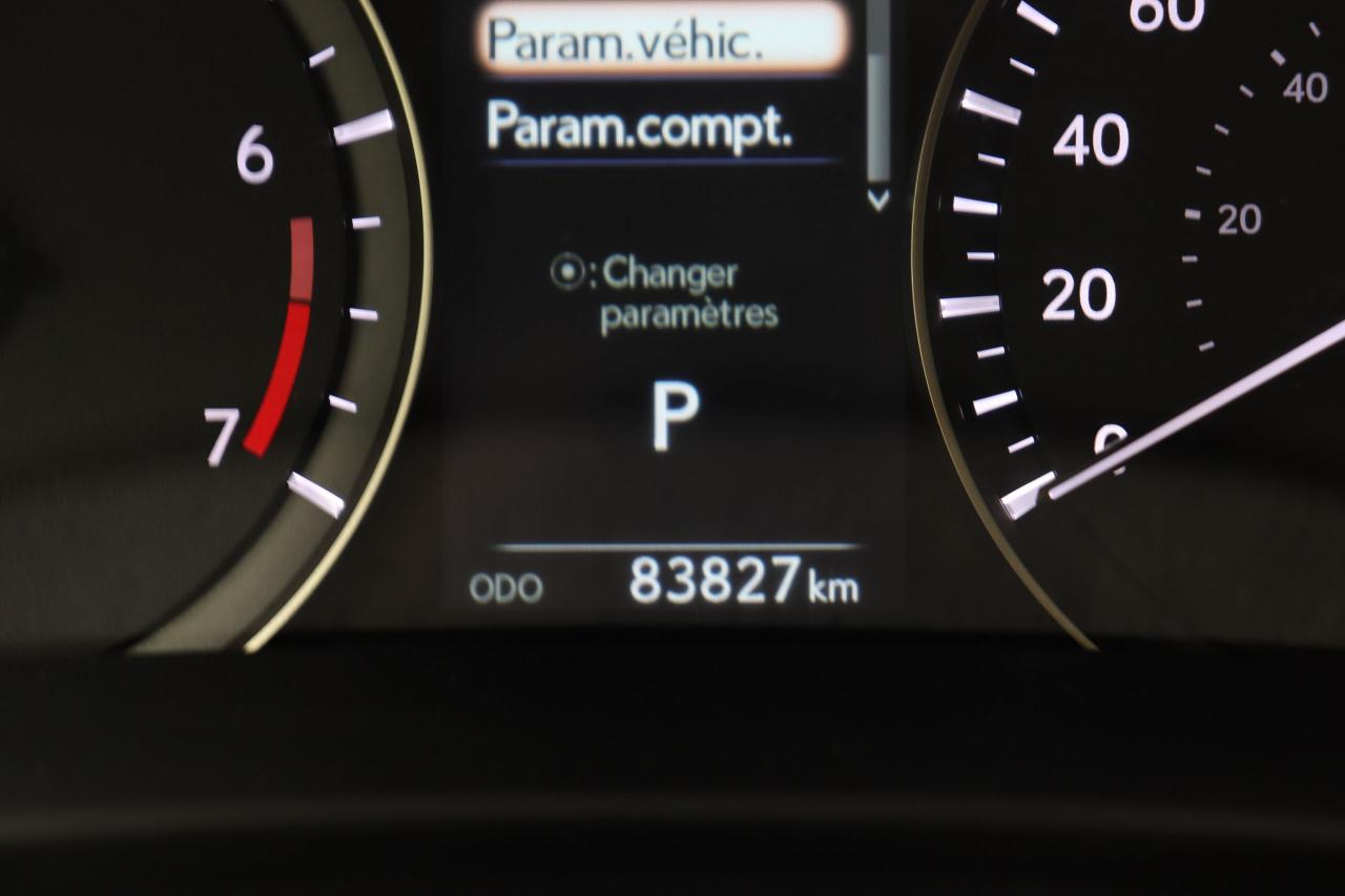 12624069