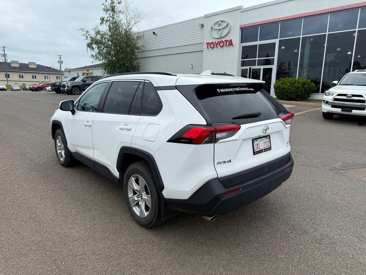 2020 Toyota RAV4 XLE AWD Photo