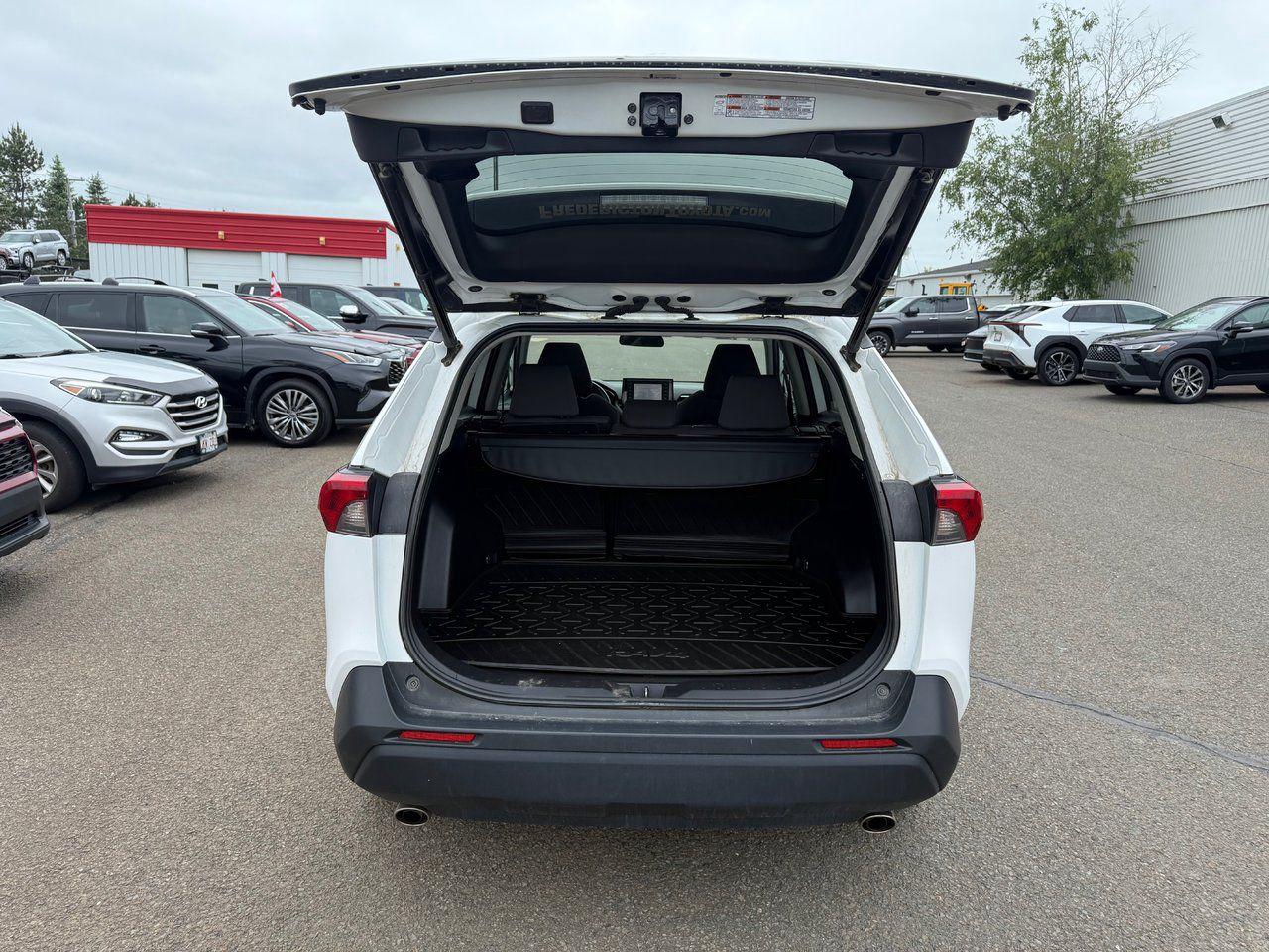 2020 Toyota RAV4 XLE AWD Photo