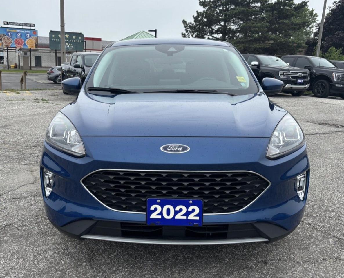 12624372
