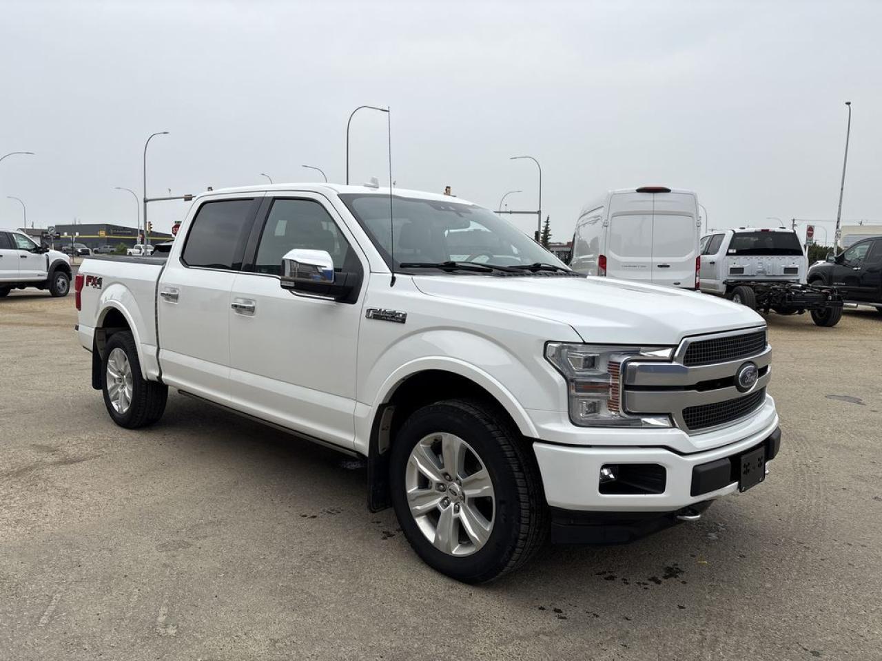 Used 2020 Ford F-150 PLATINUM for sale in Camrose, AB