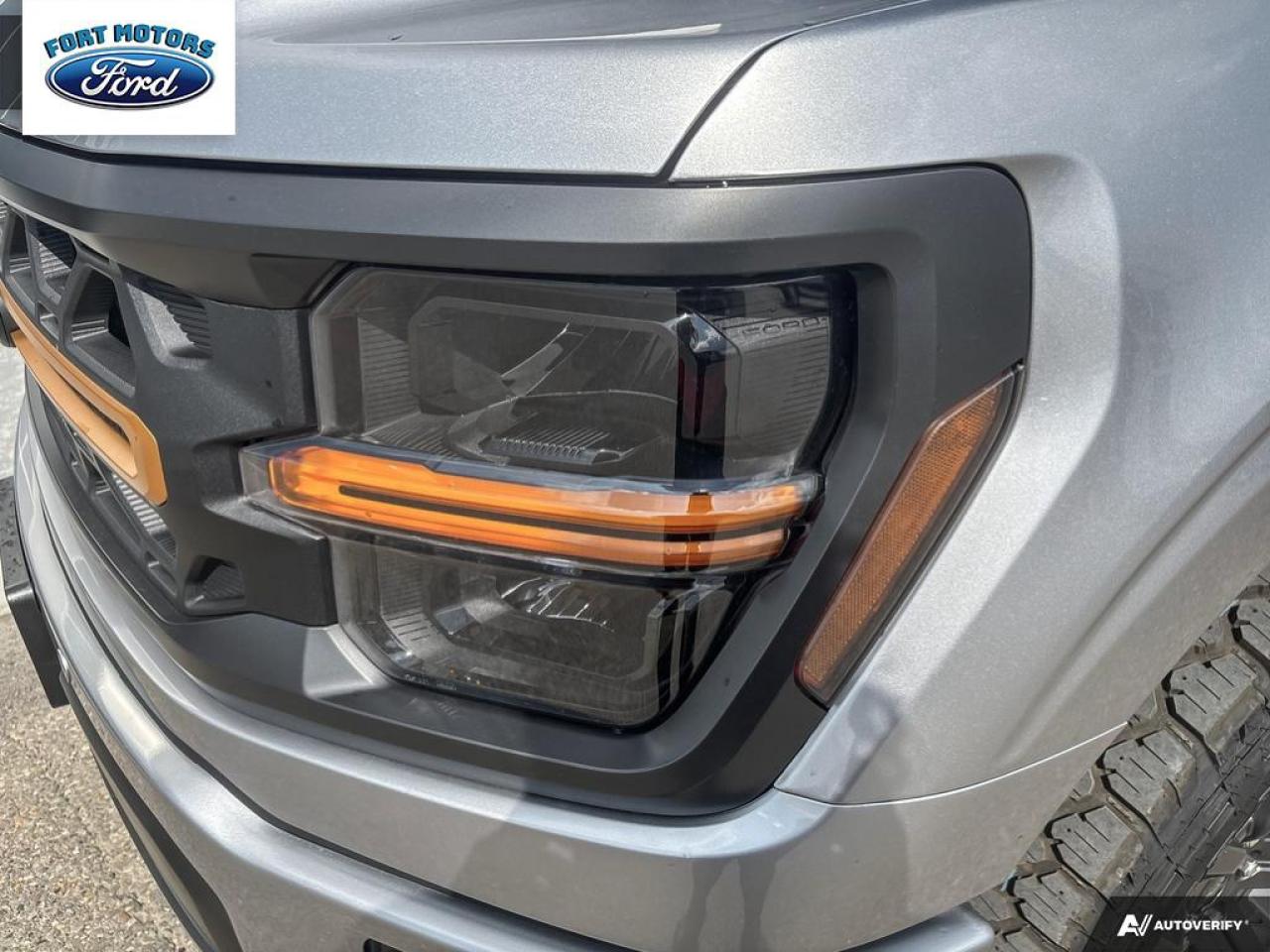 2025 Ford F-150 Tremor® Photo5