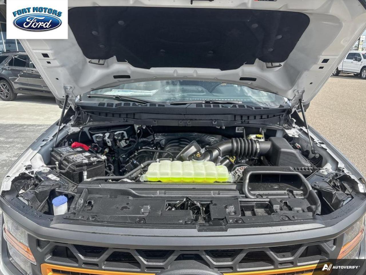 2025 Ford F-150 Tremor® Photo5