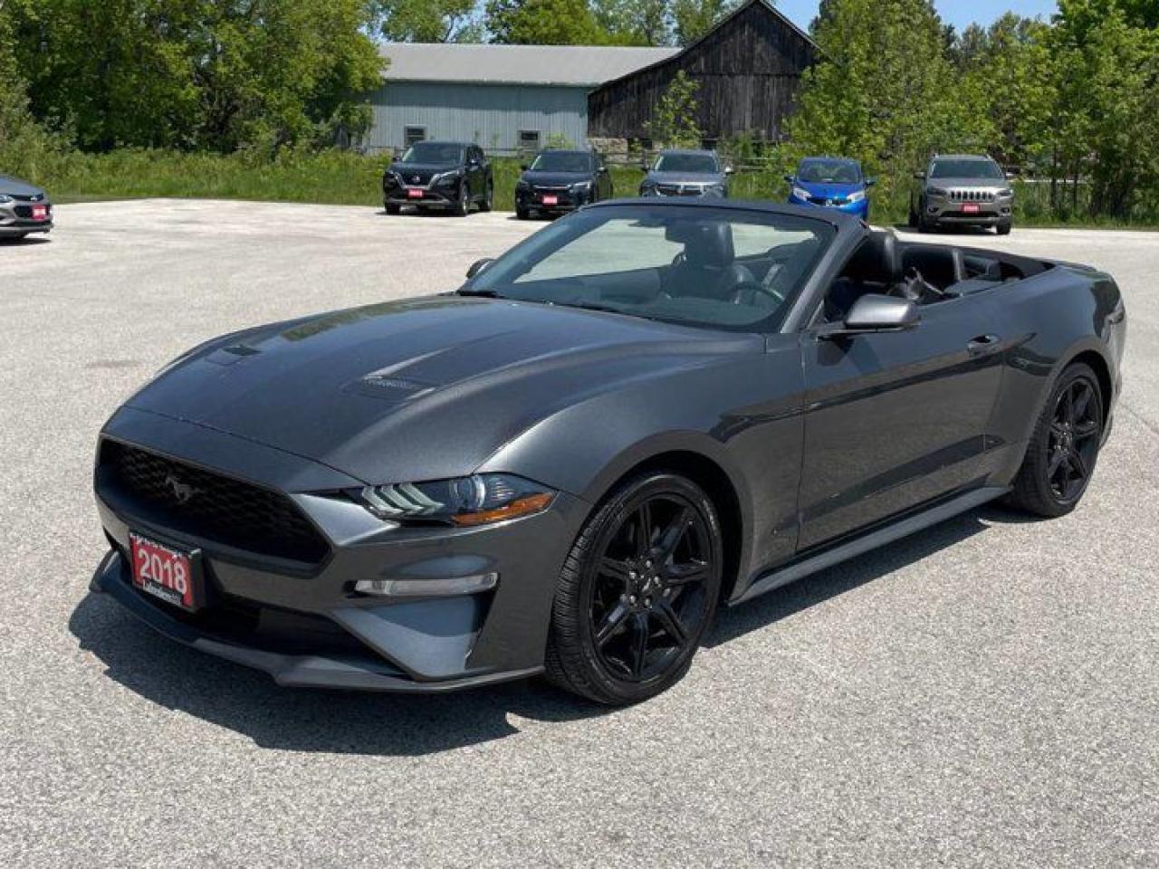 Used 2018 Ford Mustang EcoBoost Premium Leather | Cooled + Heated Seats | Nav | Black Appearance Pkg | Rear Camera & More ! for sale in Guelph, ON
