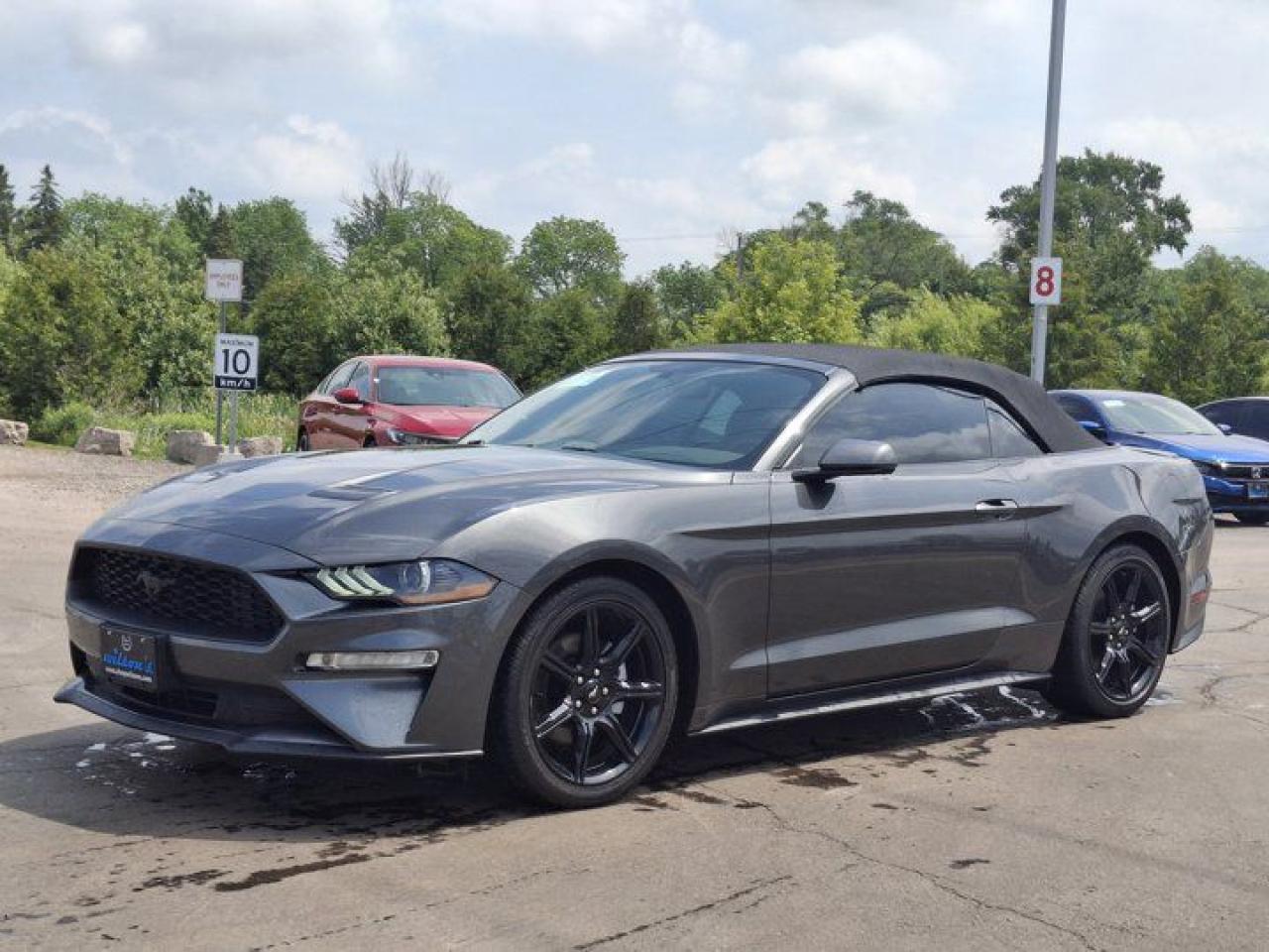 Used 2018 Ford Mustang EcoBoost Premium Leather | Cooled + Heated Seats | Nav | Black Appearance Pkg | Rear Camera & More ! for sale in Guelph, ON