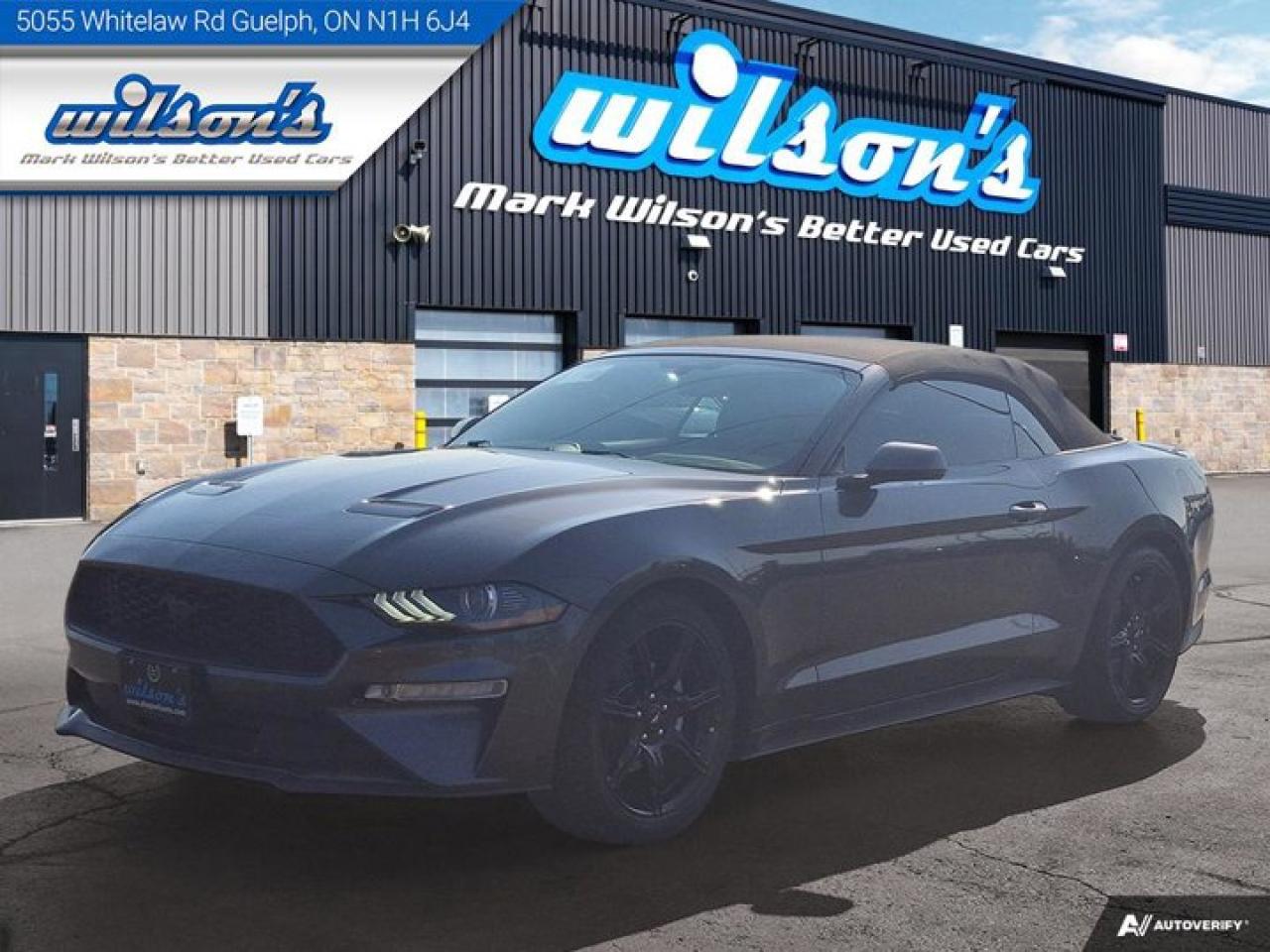 Used 2018 Ford Mustang EcoBoost Premium Leather | Cooled + Heated Seats | Nav | Black Appearance Pkg | New Tires | for sale in Guelph, ON