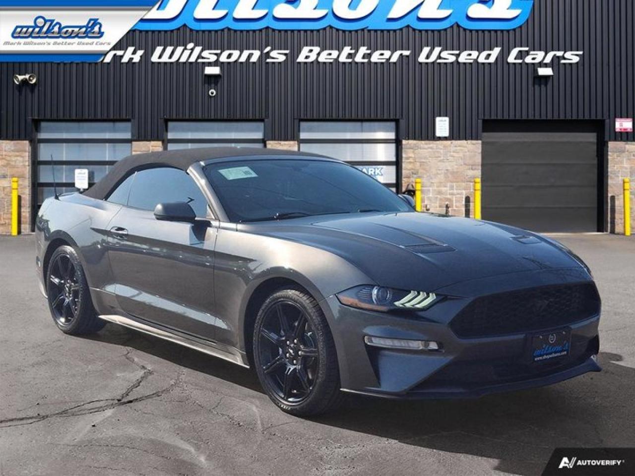 Used 2018 Ford Mustang EcoBoost Premium Leather | Cooled + Heated Seats | Nav | Black Appearance Pkg | New Tires | for sale in Guelph, ON