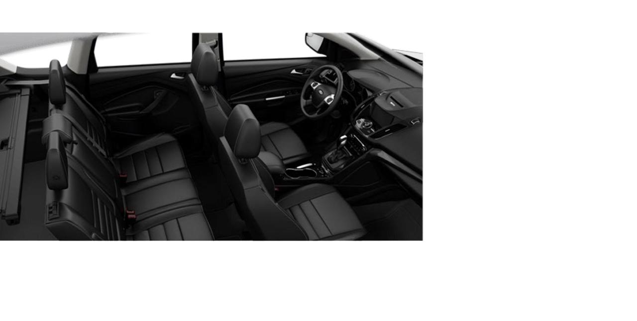 2015 Ford Escape 4WD TITANIUM Photo4