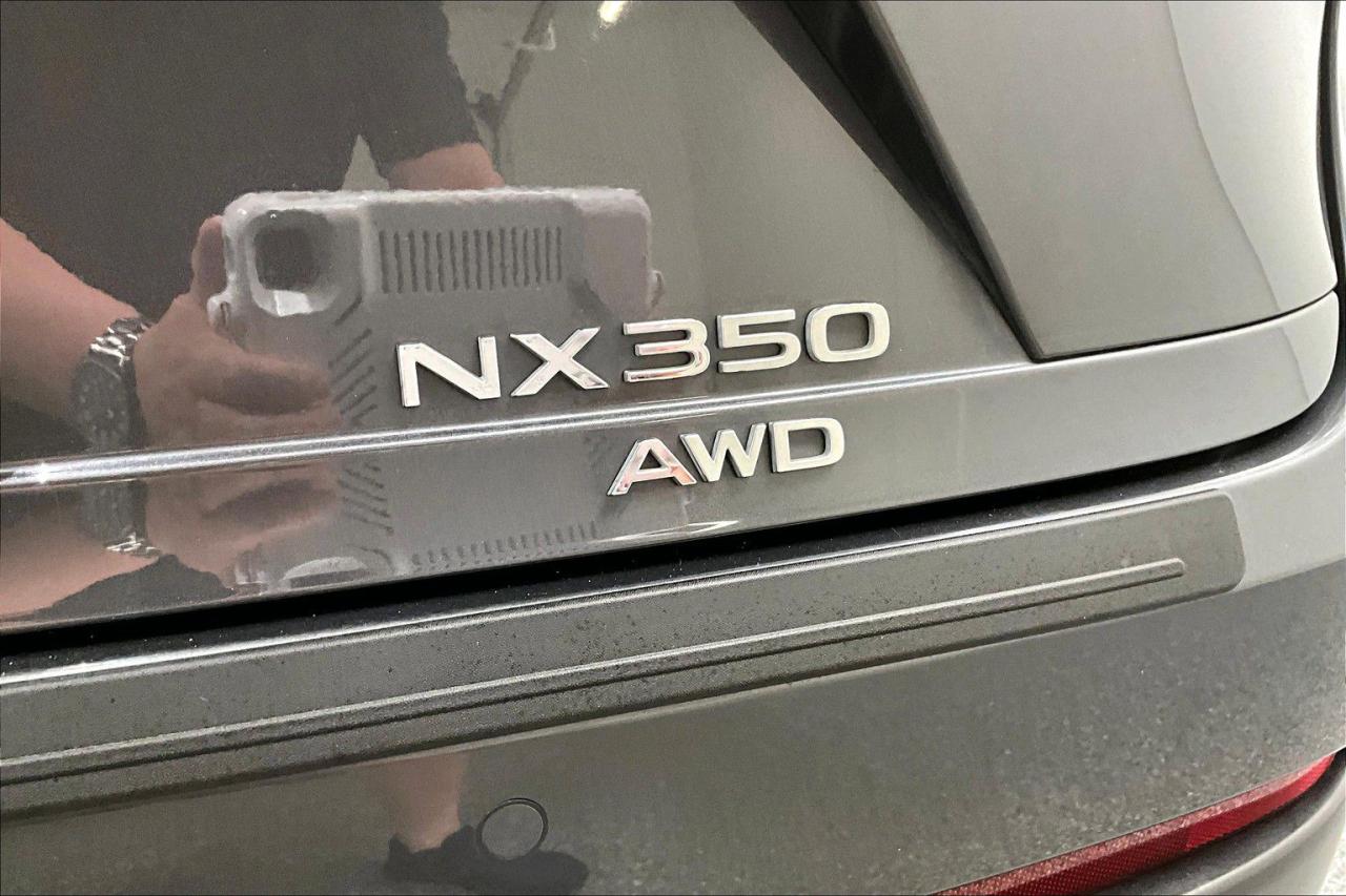 12625587