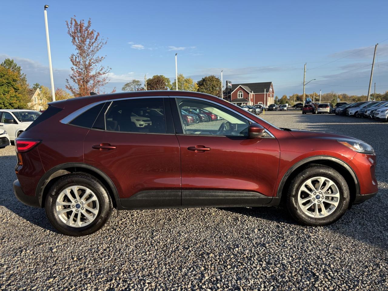 2021 Ford Escape Hybrid Se Hybrid Photo