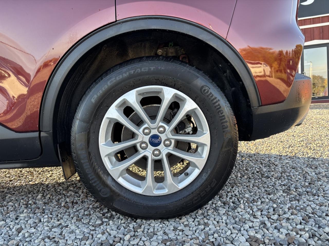 2021 Ford Escape Hybrid Se Hybrid Photo