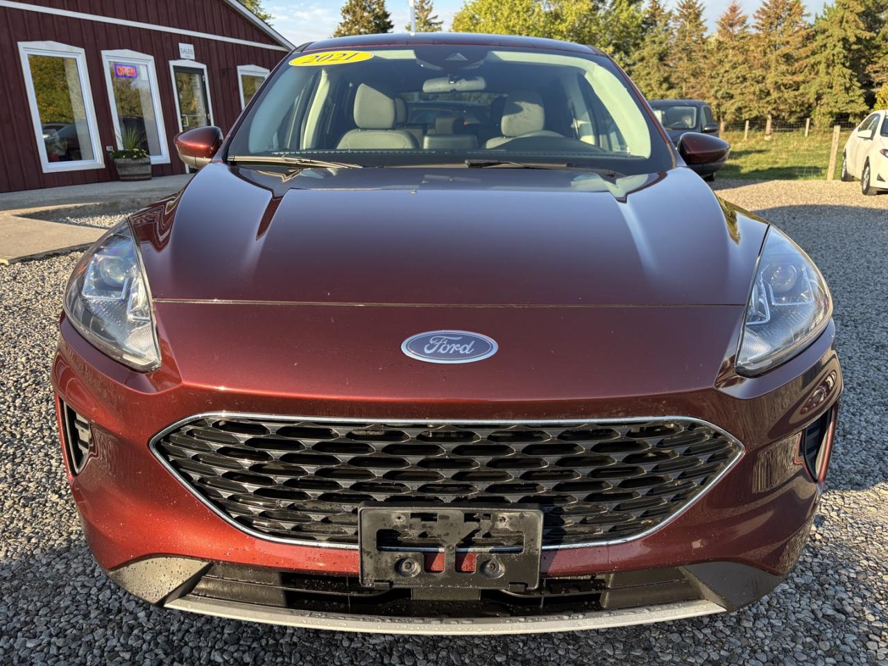 2021 Ford Escape Hybrid Se Hybrid Photo