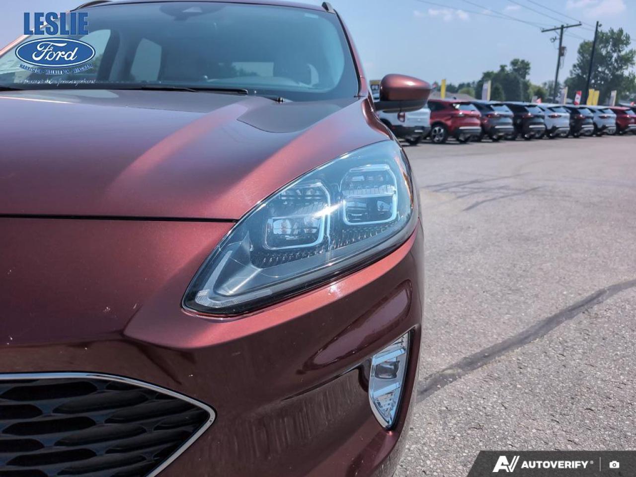 2021 Ford Escape TITANIUM HYBRID AWD Photo5