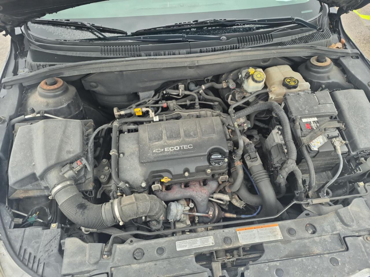 12626244