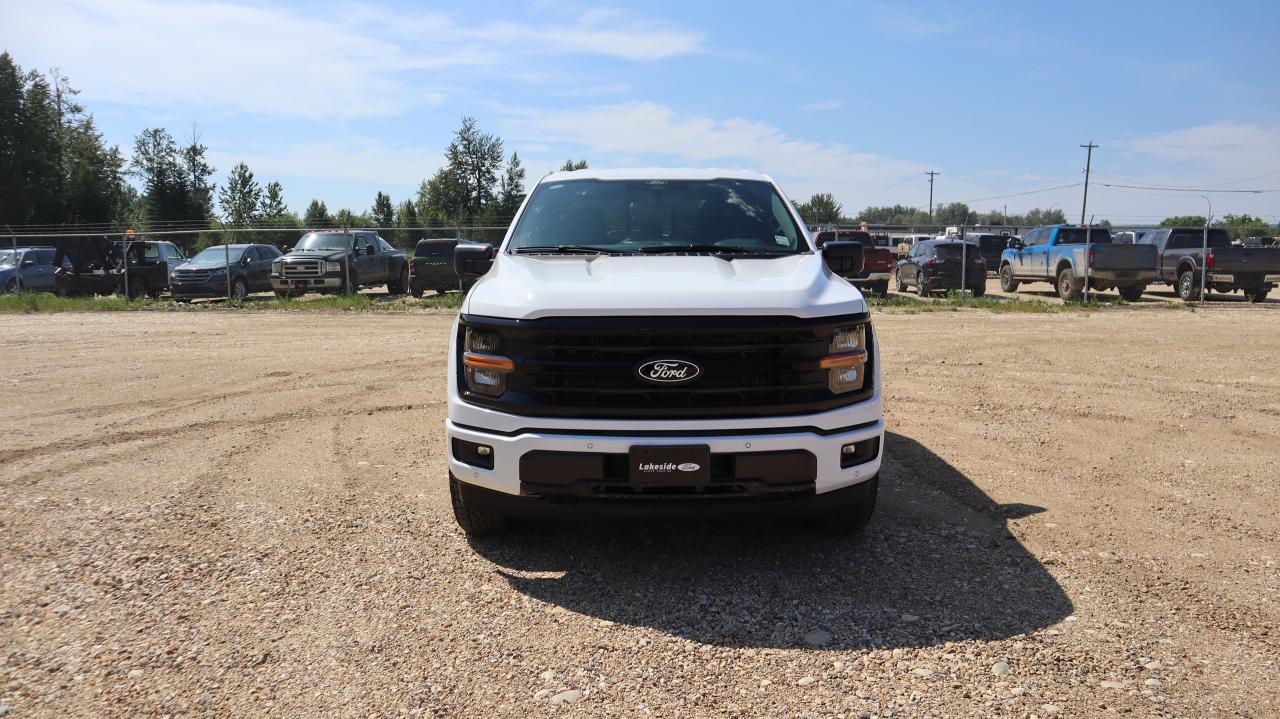 2025 Ford F-150 XLT Photo1