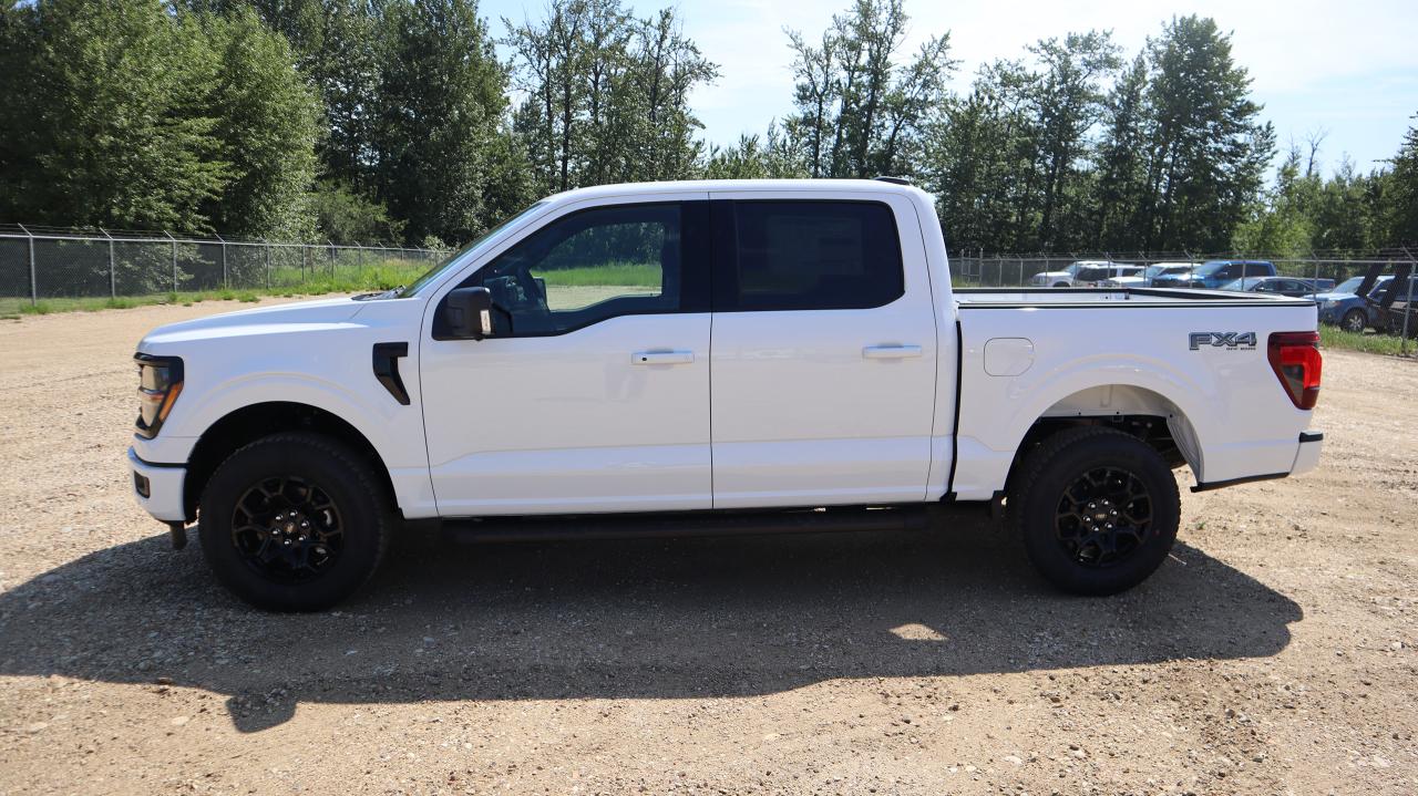2025 Ford F-150 XLT Photo2