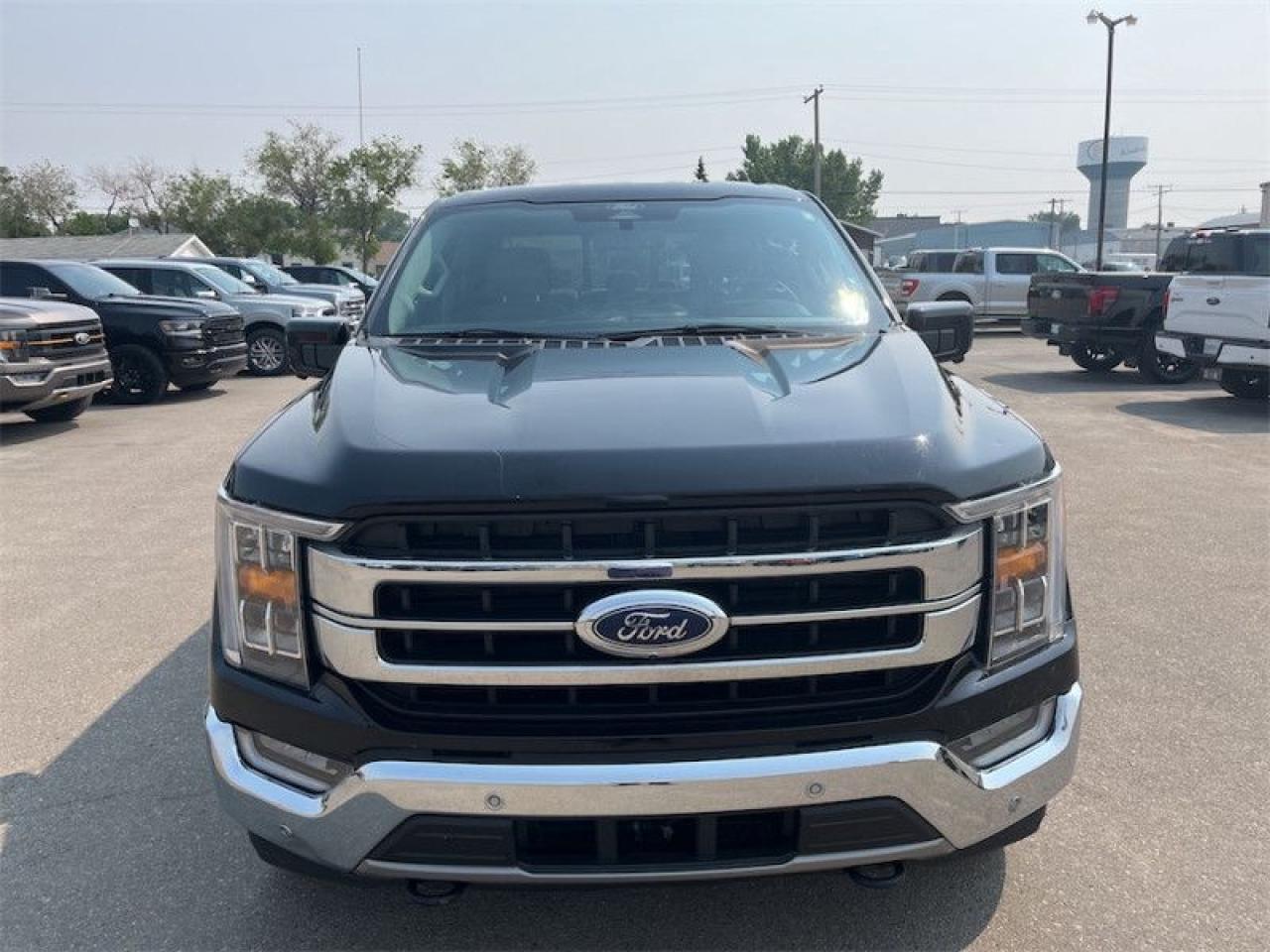 2021 Ford F-150  Photo3