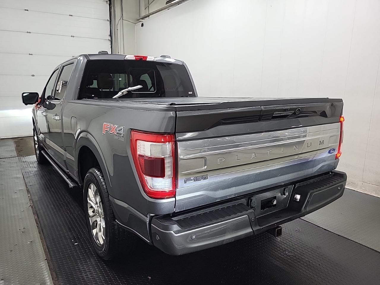 2021 Ford F-150 PLATINUM Photo5