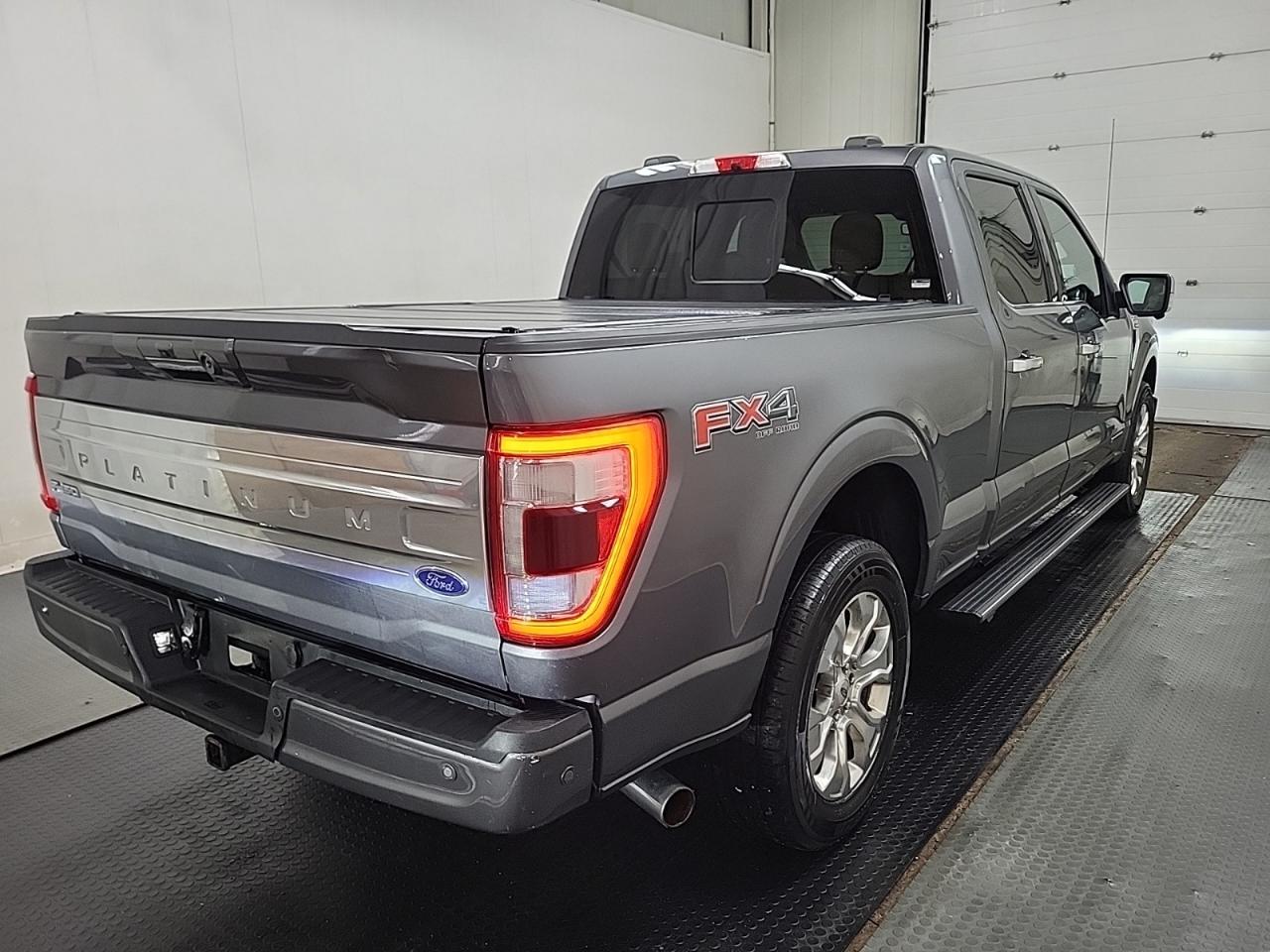 2021 Ford F-150 PLATINUM Photo